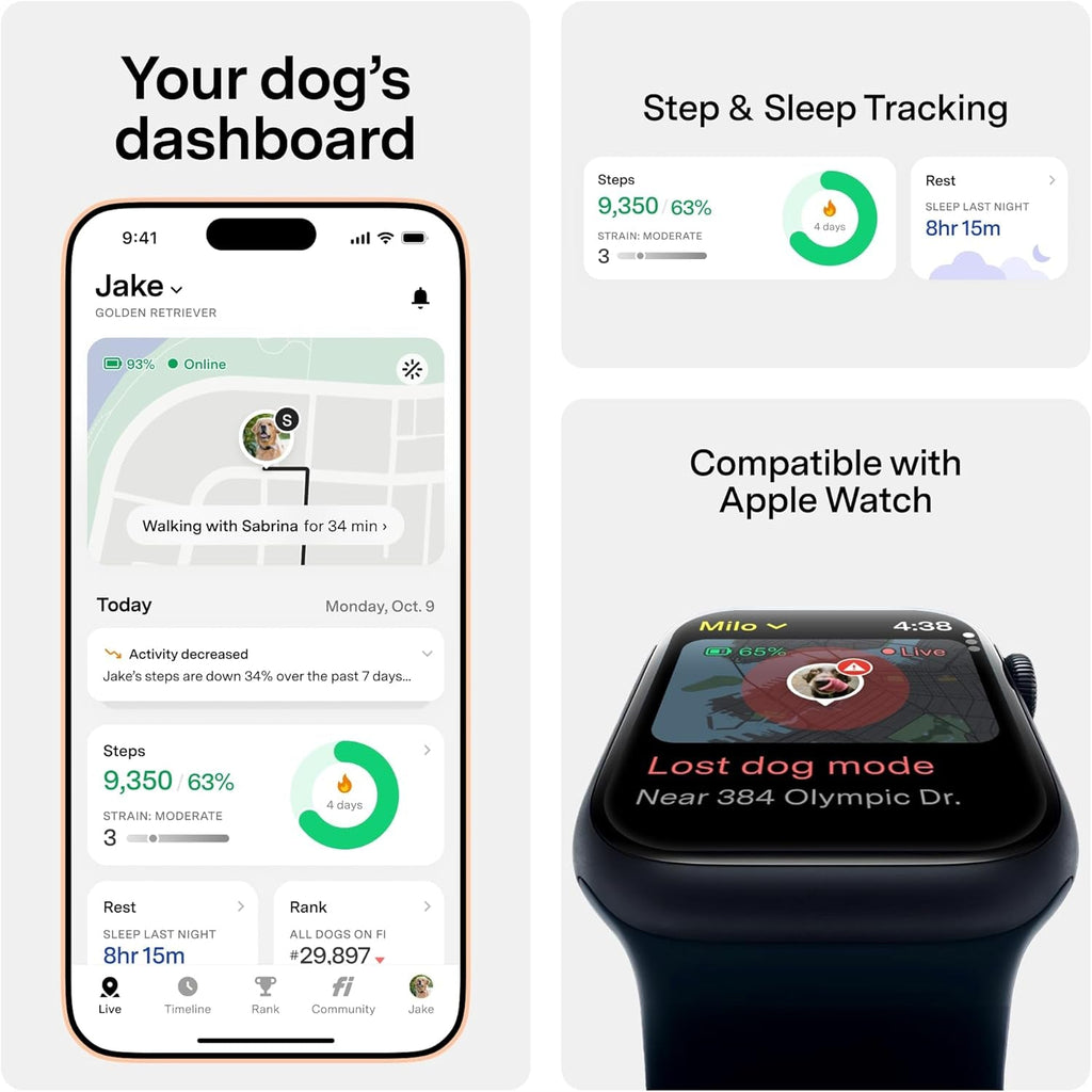 GPS Smart Dog Tracker Collar with Health Monitoring