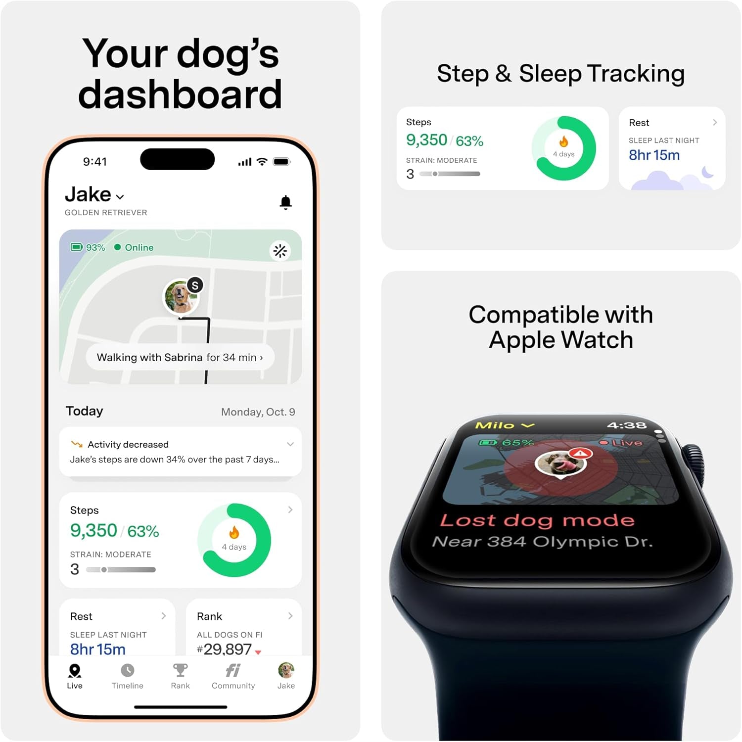 GPS Smart Dog Tracker Collar with Health Monitoring
