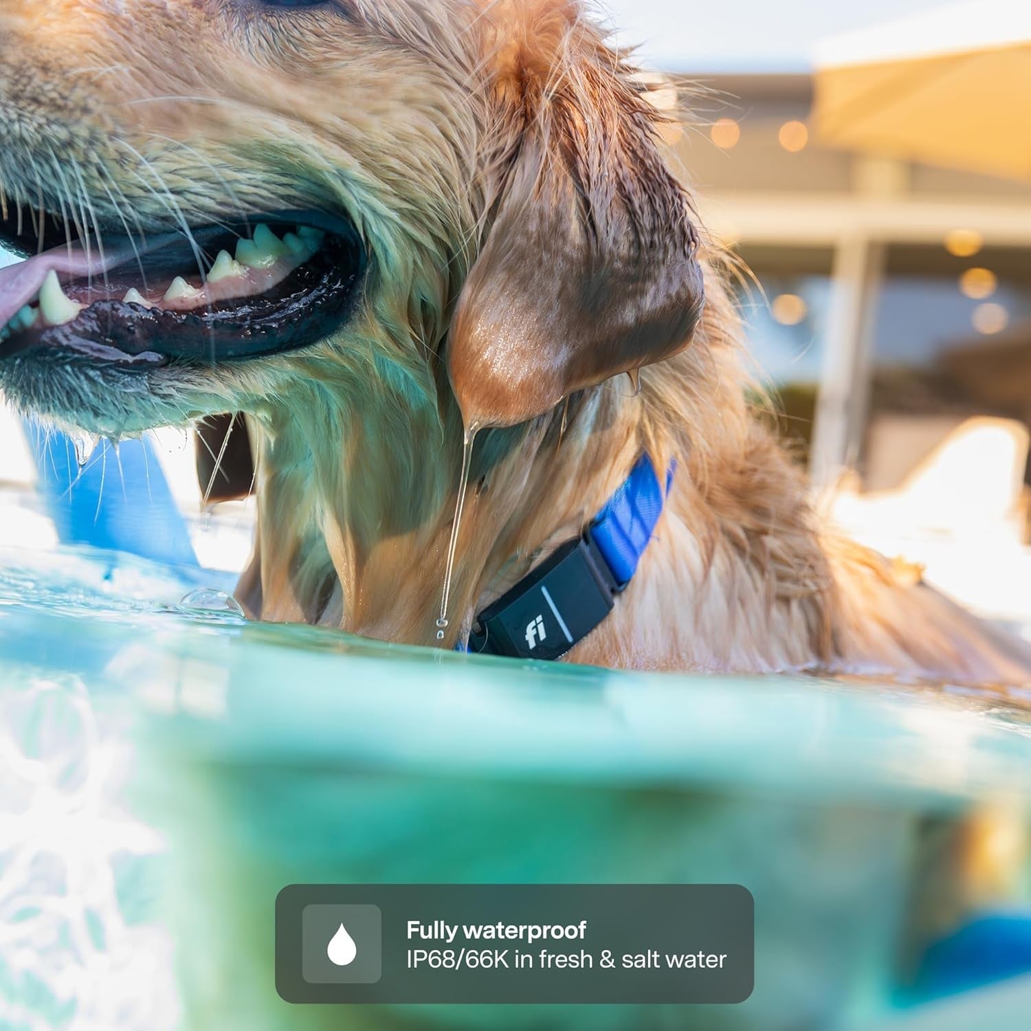 GPS Smart Dog Tracker Collar with Health Monitoring