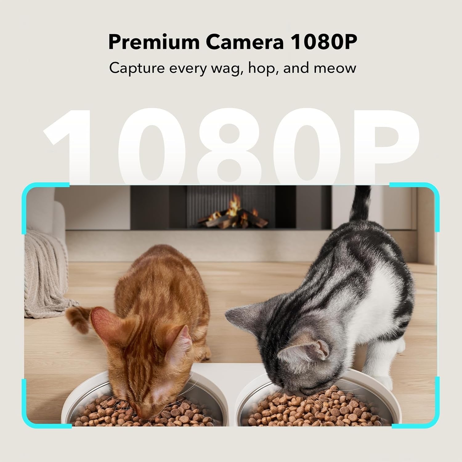Smart Automatic Pet Feeder with AI Camera
